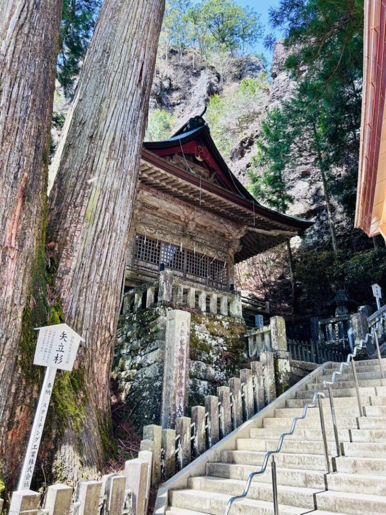 榛名神社　矢立杉