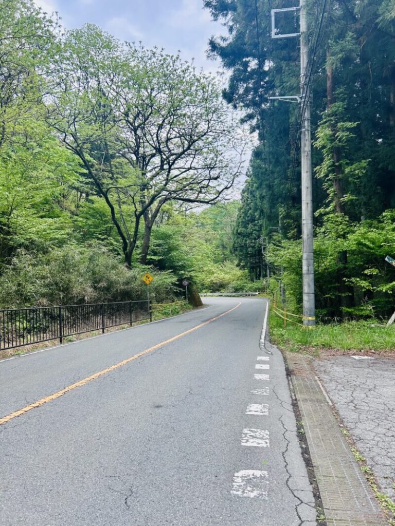 県道２１１号線