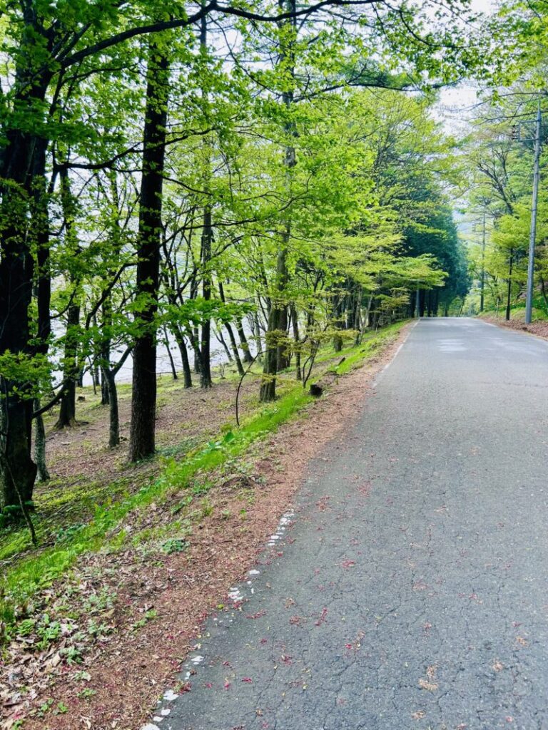 榛名湖周回コース